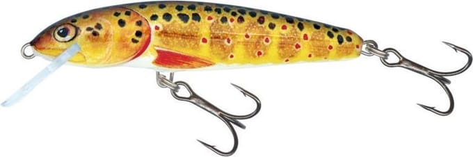 Salmo Minnow 9F - 9cm - 10 gram floating orange trout