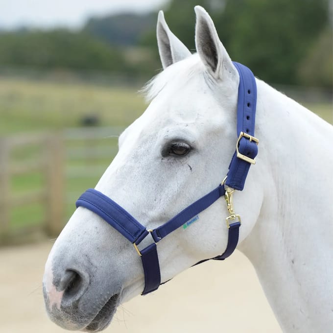 Bucas Halster Comfort Donkerblauw - extra Groot