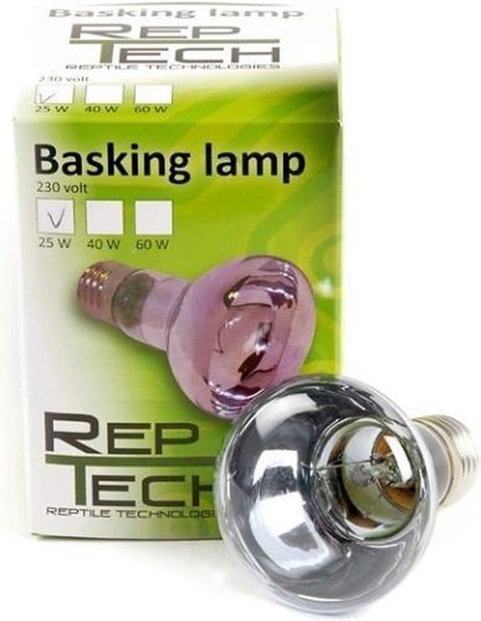 RepTech daglichtlamp 60 Watt