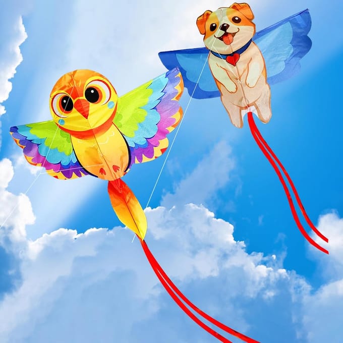 Vliegers Set - Vogel Hond - Buiten Spelen - Scheurvast Polyester - 90 cm - Multicolor