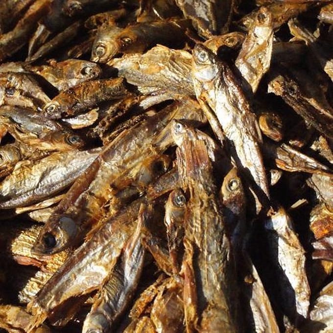 Gedroogde Visjes 4-7cm - 30 Liter - Schildpadvoer