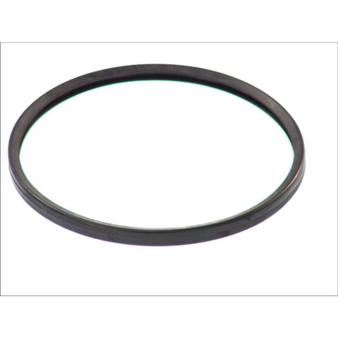 Pakking, thermostaat DT Spare Parts 2.15930