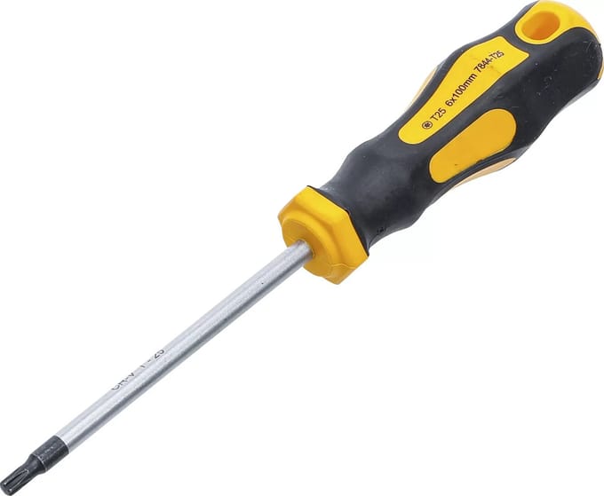 BGS Schroevendraaier - Torx T25 - Meslengte 100 mm