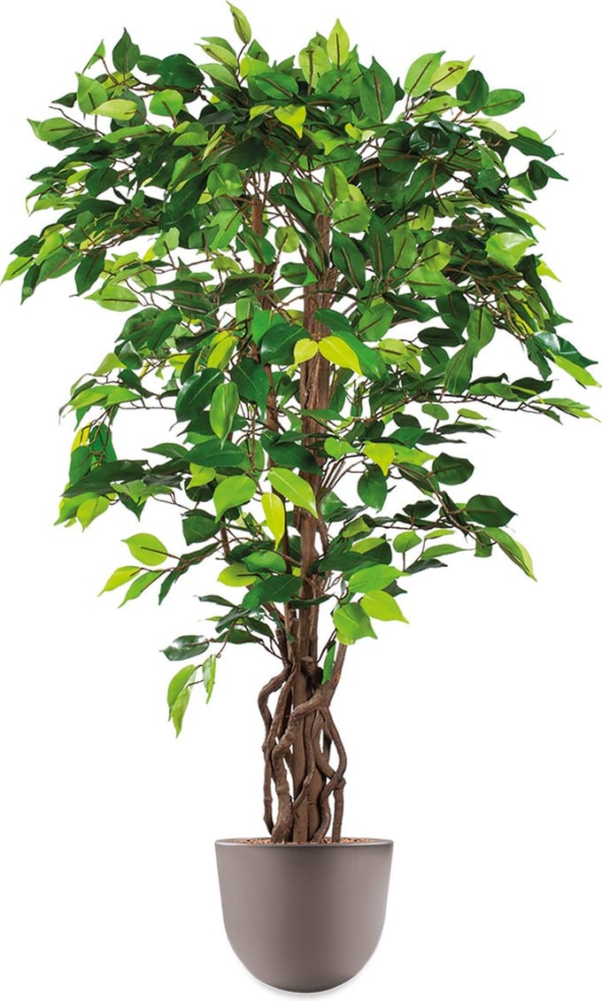 Kunstplant Ficus in Eggy taupe H130 cm