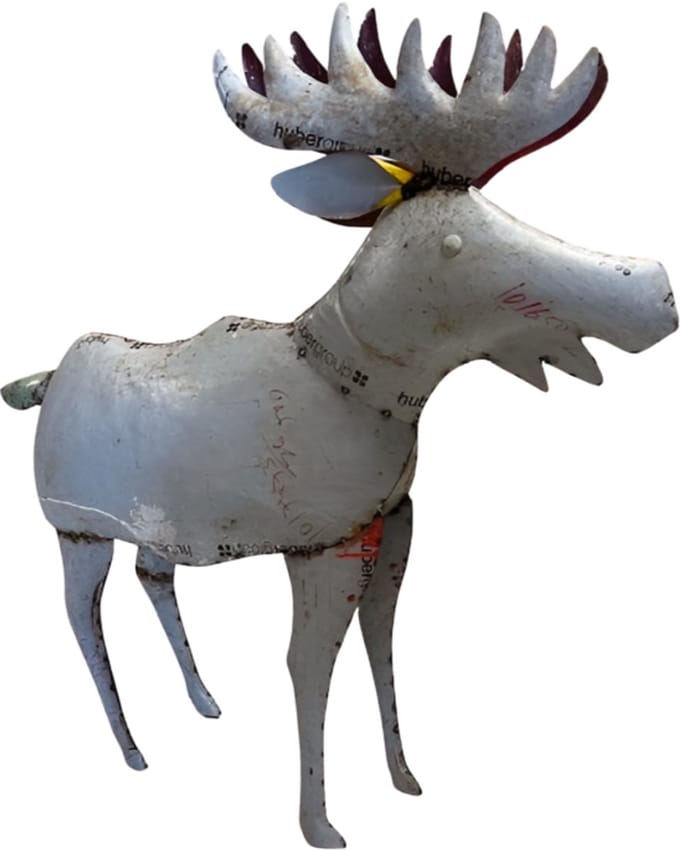 Moose XXL