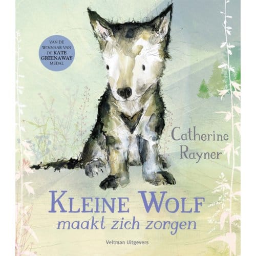 Kleine Wolf Maakt Zich Zorgen - Catherine Rayner