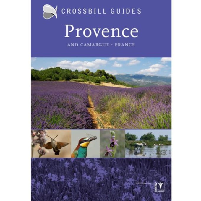 Provence And Camargue - Crossbill Guides - Dirk Hilbers