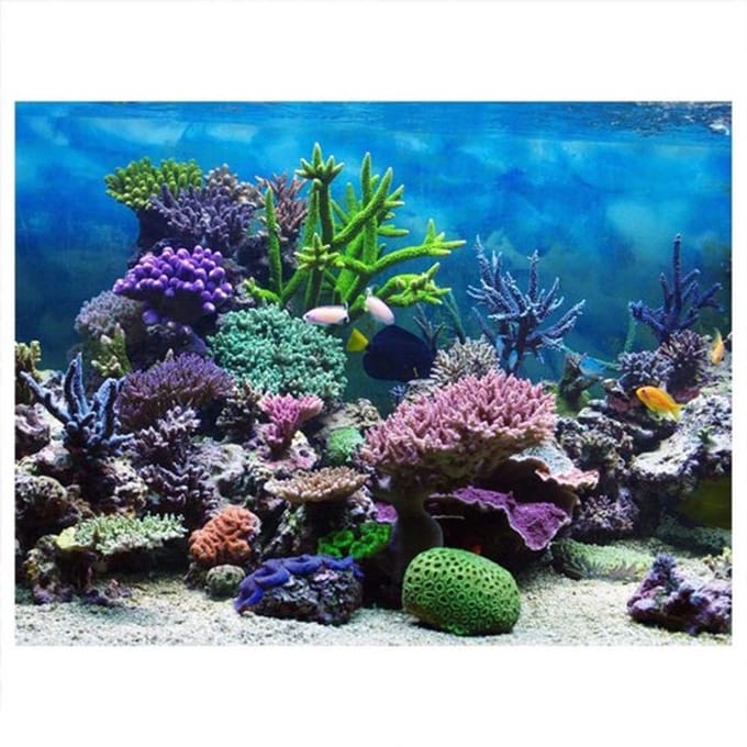 Allecto - Pvc Zelfklevende Aquarium Achtergrond Poster - Onderwater