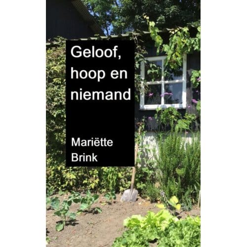Geloof, Hoop En Niemand - Mariëtte Brink