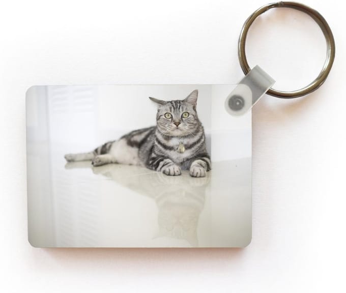 Sleutelhanger - Kat - Grijs - Dier - Meisjes - Kinderen - Jongens - Kind - Uitdeelcadeautjes - Plastic