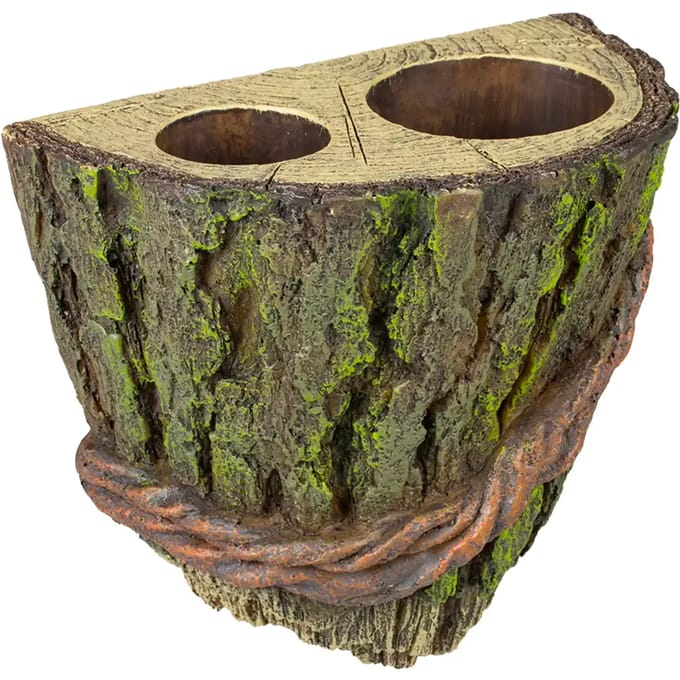 Terra Della - Reptielen - Floating Deco Boom Cup-houder 14x13x8cm Meerkleurig - 162475