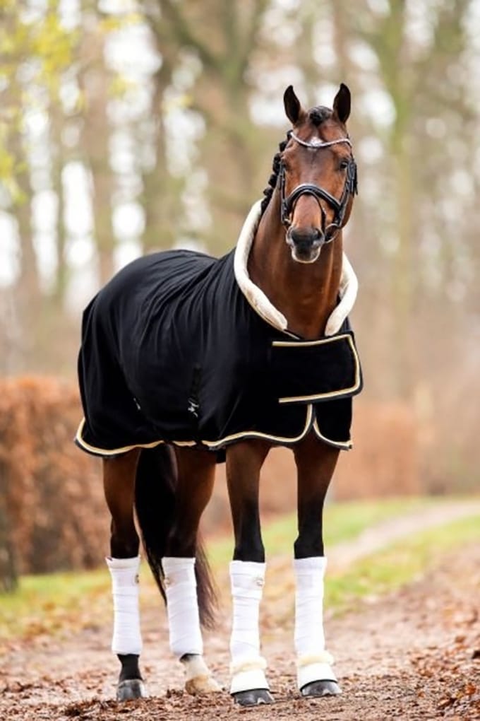 HB Fleecedeken Polar 400 Dutch Crown Black - 145cm - Zweetdeken