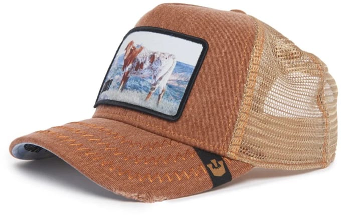 Goorin Bros. Horny Trucker cap - Brown