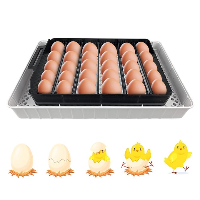 Broedmachine voor 12 eieren met automatische eierkeuring, vochtigheidsregeling, temperatuurweergave en eierlamp EU Plug black