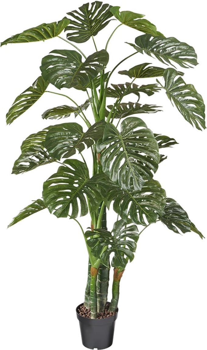 Kunstplant Monstera XXL H180cm - HTT Decorations kunstplanten