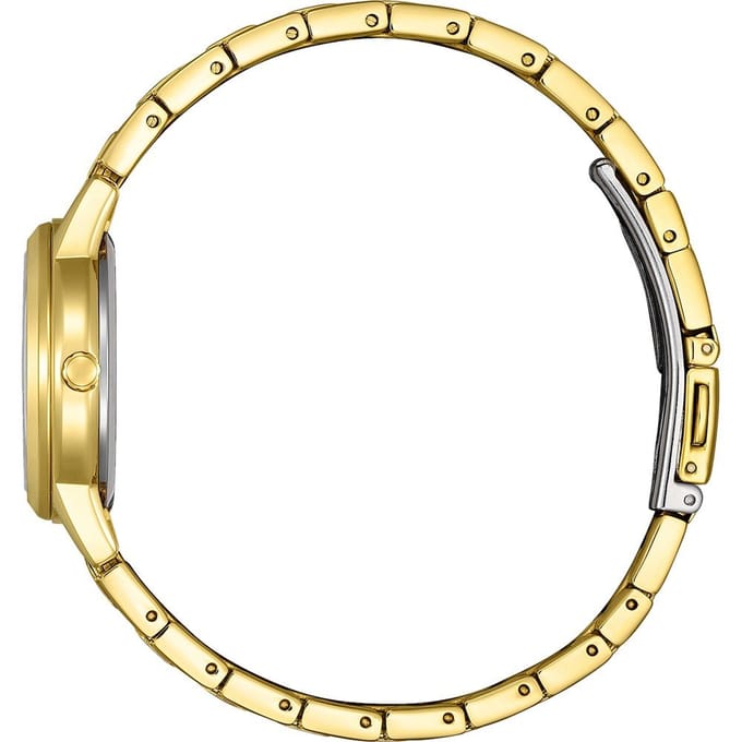 Citizen FE1242-78D Horloge - Staal - Goudkleurig - Ø 29 mm