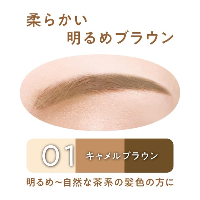 CEZANNE - Eyebrow & Shade Powder 01 Camel Brown