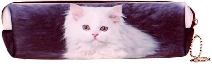 Etui Witte Poes