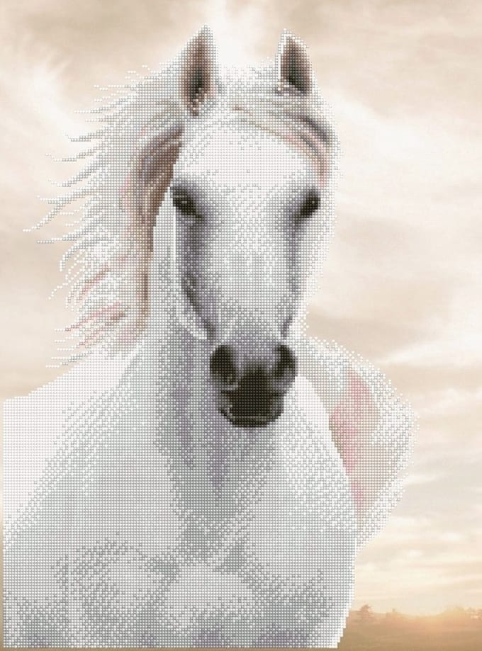 DIAMOND DOTZ Imperial Stallion - Diamond Painting - 22.434 Dotz - 65x48 cm