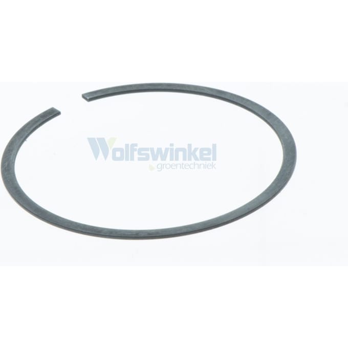 Piston ring