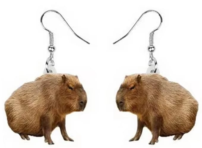 Oorbellen Capibaras