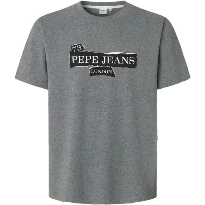 Pepe Jeans Griffin T-shirt Met Korte Mouwen Grijs S Man