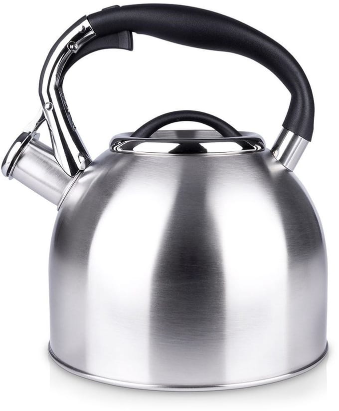 Orion - Stalen Fluitketel - 2L - Ergonomisch Handvat - Zilver