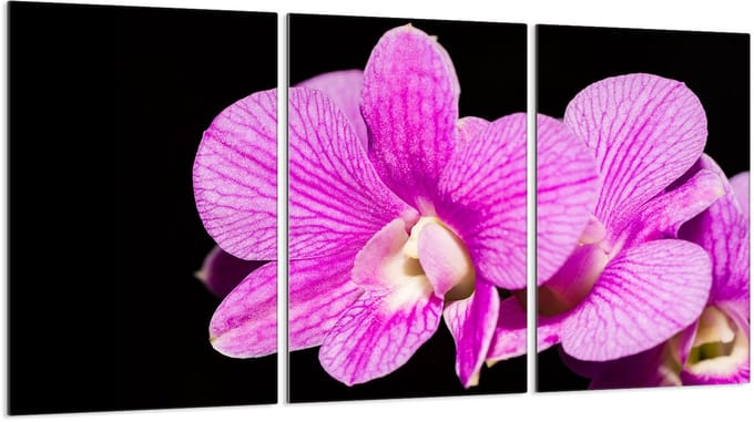 TMK ArtDeko - Snijplank - 3x30x52 cm - Glas