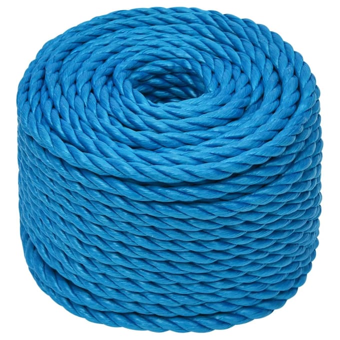 vidaXL - Werktouw - 20 - mm - 100 - m - polypropeen - blauw