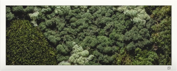 Mos Schilderij 100 x 40 Landscape Wit