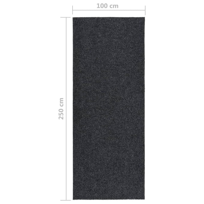 Vidaxl Vuilabsorberend Vloerkleed, 100X250 Cm, Antraciet