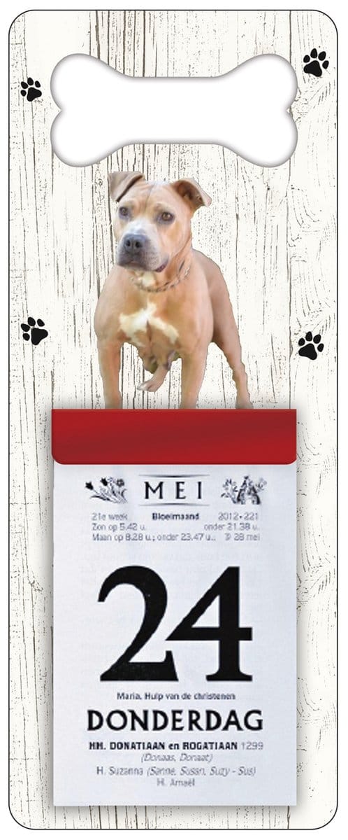 Scheurkalender 2027 Hond: Amerikaanse Stafford