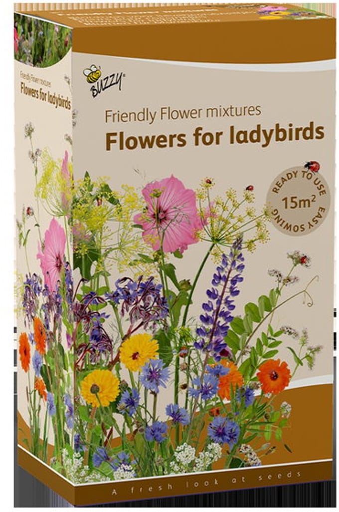 Buzzy - Grow gifts zaden strooidoos friendly flower lieveheersbeest...