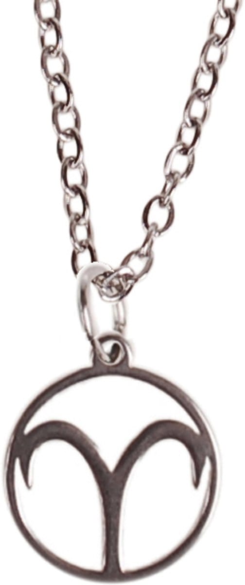 Kinderketting Zilverkleurig 45cm - Hangertje Sterrenbeeld RVS - Ram