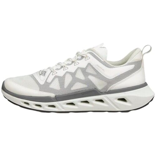 Lage Sneakers Ecco Biom 720