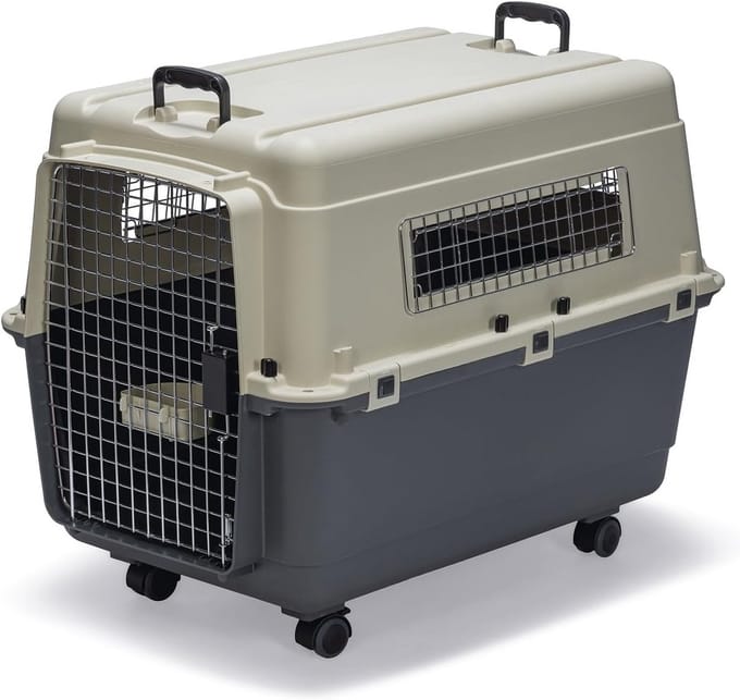 Transportbox voor Honden - Veilig en Comfortabel Reisgemak