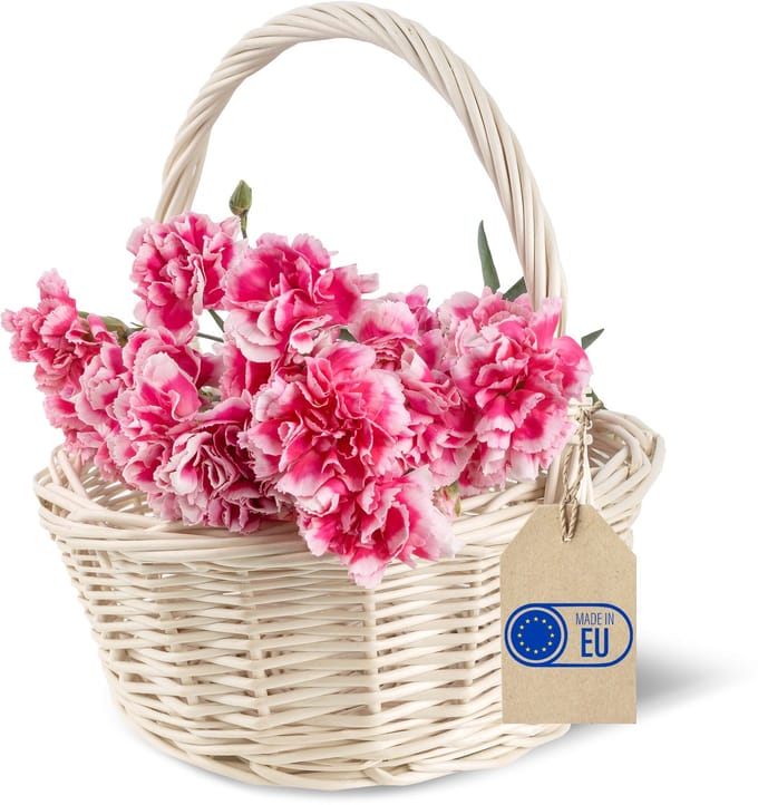 Creative Home Rieten mand met handvat - voor Pasen - 22 x 22 x 26 cm