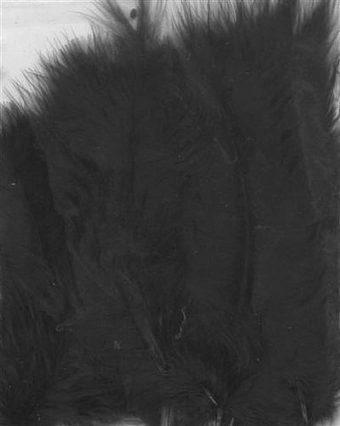 Zwarte Marabou Veren - 7 tot 12 cm hoog - 15 Stuks