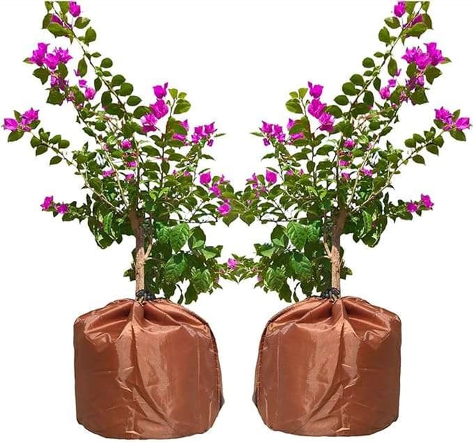 CE - Kaptur van Agrotkanina - Winterbescherming - 65x70cm - 2 stuks - Bruin