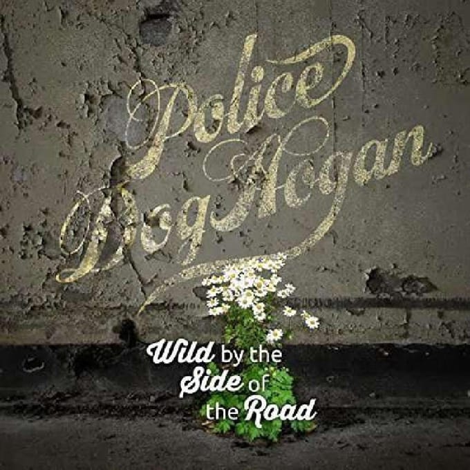 Wild By The Side Of The Road