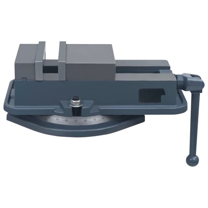 vidaXL - Bankschroef - draaibaar - 160 - mm - gietijzer
