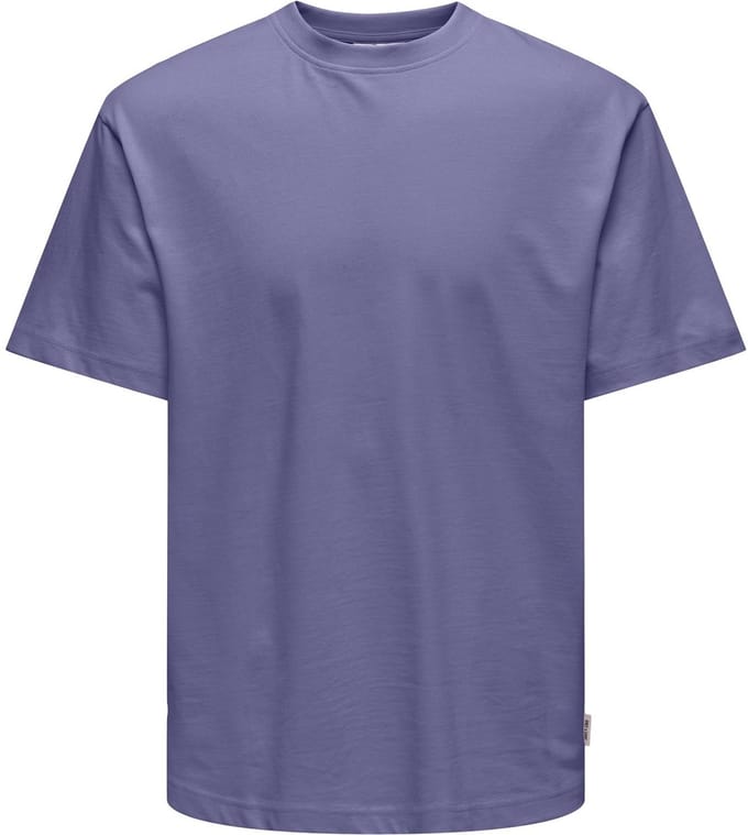 ONLY & SONS T-shirts ONSFRED T-shirts