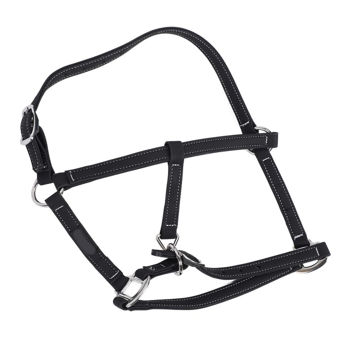 Bride d'équitation Nylon Bride pour cheval Réglable Bride pour cheval Têtière Harnais Accessoire pour Medium