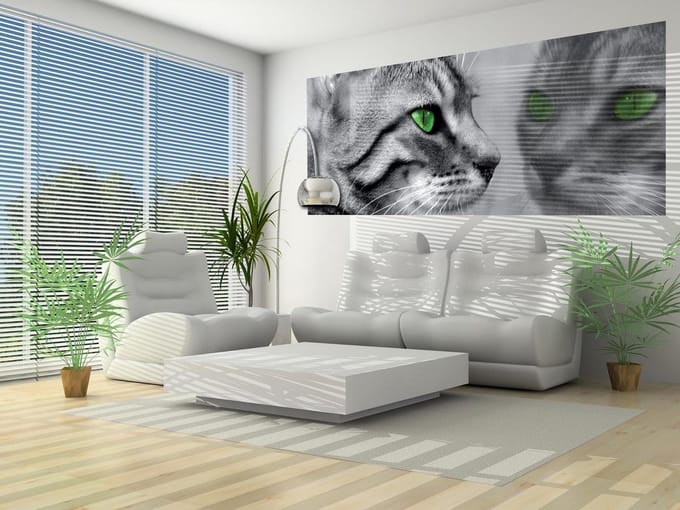 Cat Kitten Photo Wallcovering