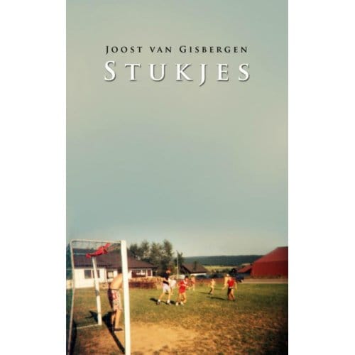 Stukjes - Joost van Gisbergen