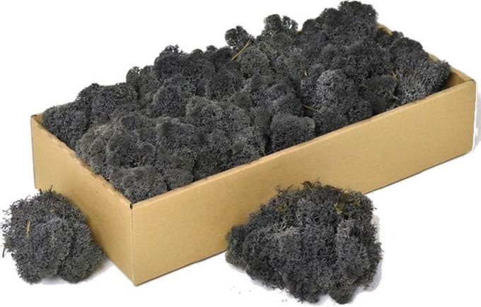 IJslands Mos Antraciet | 500 gram