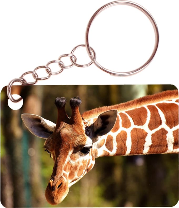 Sleutelhanger 6x4cm - Giraffe met Uitgestrekte Nek