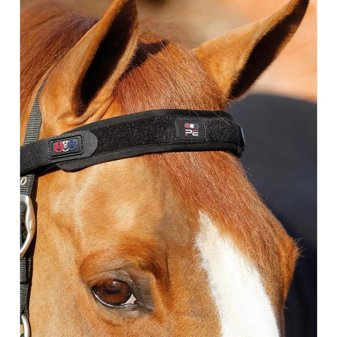 Magnetische paardenhoofdband Premier Equine Magni-Teque