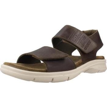 Sandalen Panama Jack Rusell C3