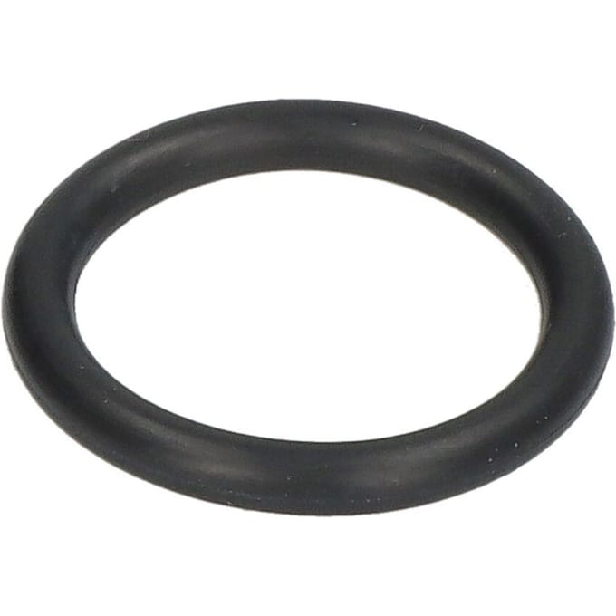 Basis O-ring PARSUN JASO-F404-31-025